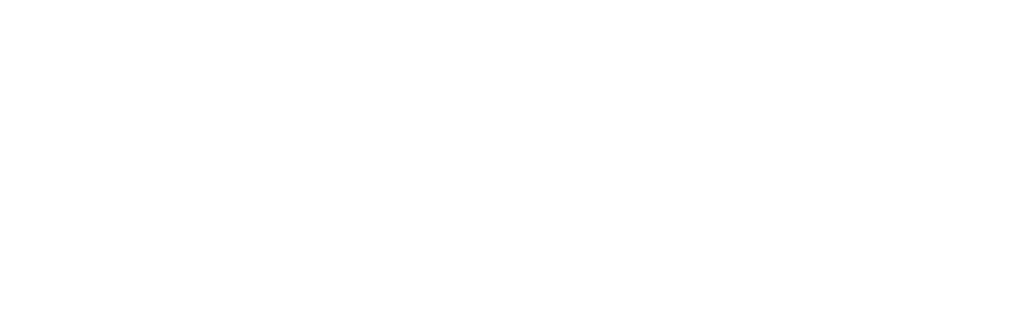 Electronet Services logo